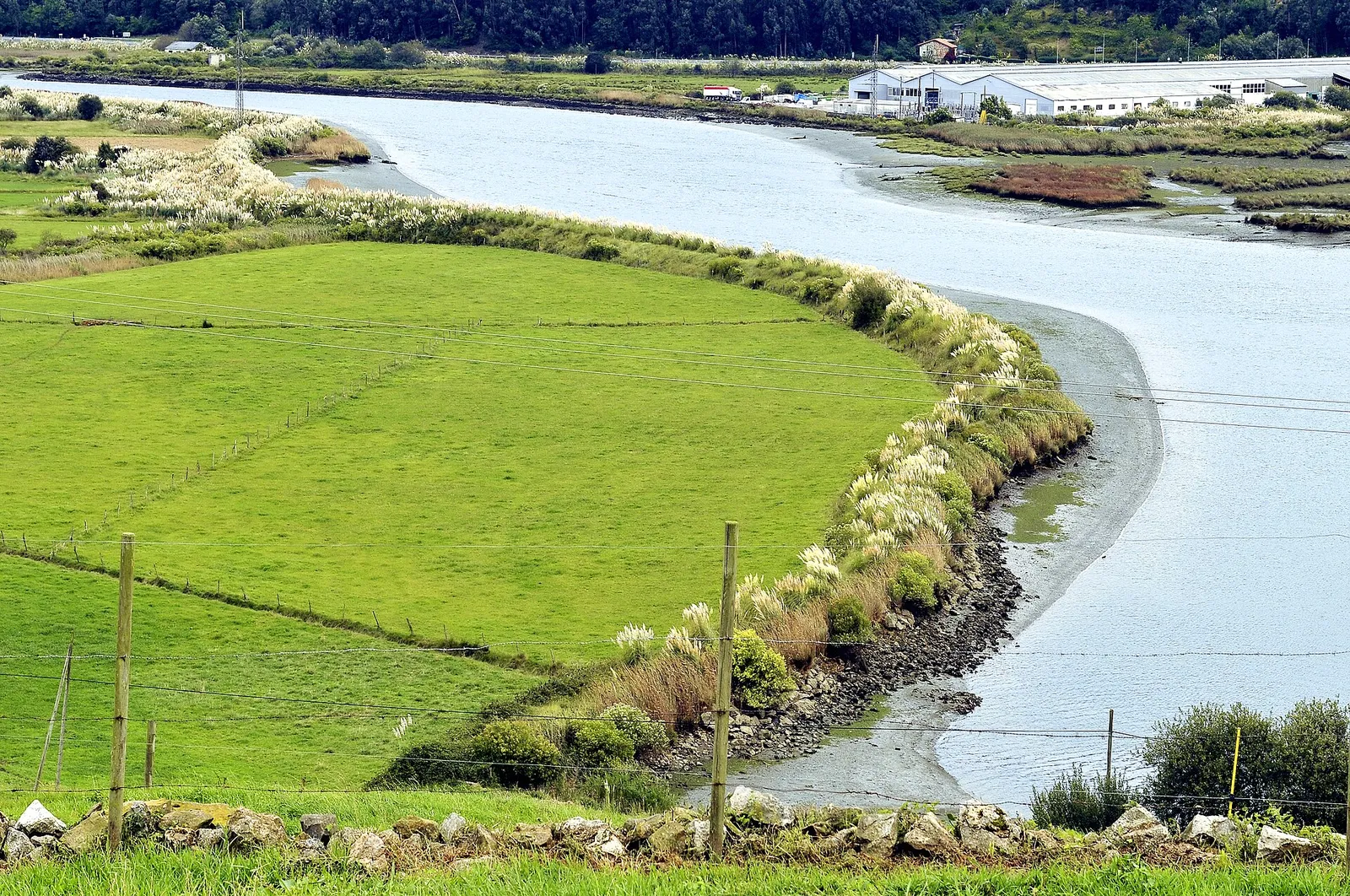 La ría de Limpias entre prados
